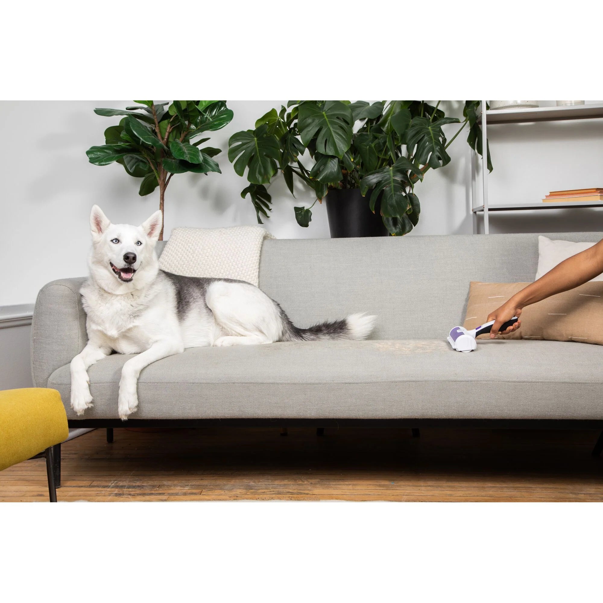 BLACK+DECKER Pet Hair Remover Roller — Reusable, No Sticky Sheets Needed